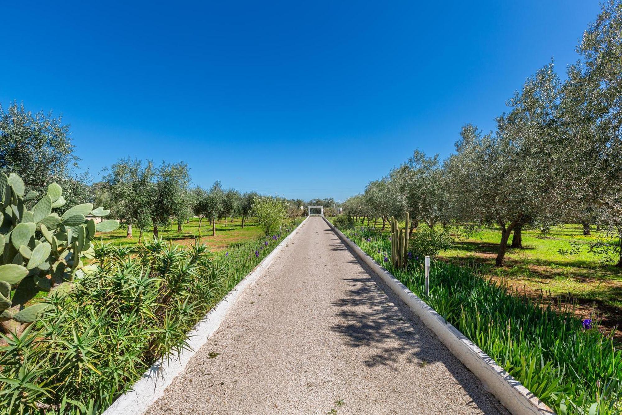 Villa La Bianca Ostuni By Barbarhouse Carovigno Buitenkant foto